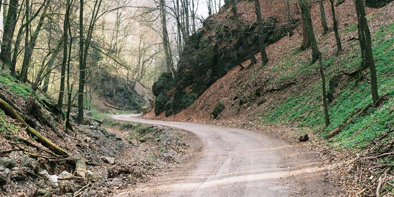 双脚是第二心脏！从生物素、胶原蛋白到筋膜放松，打造全身循环健康的完整养生指南
