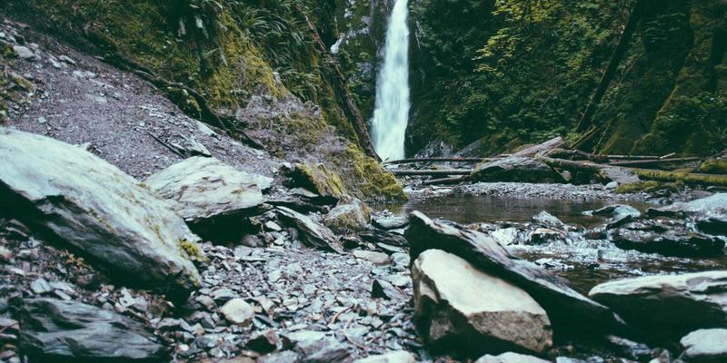 告别全身疼痛!从筋膜健康开始:维生素C、锰与抗炎饮食的结缔组织养护指南