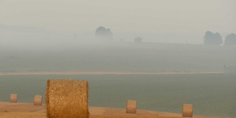 告别“电脑颈”：办公室人群必备颈椎保健指南与营养支持方案