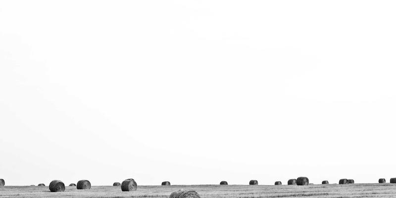 四季养生智慧：顺应天时的饮食作息指南与科学营养补充