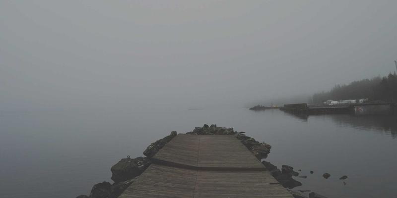 大脑的饮食盔甲:MIND饮食法搭配神经滋养素,打造不衰老的认知防线