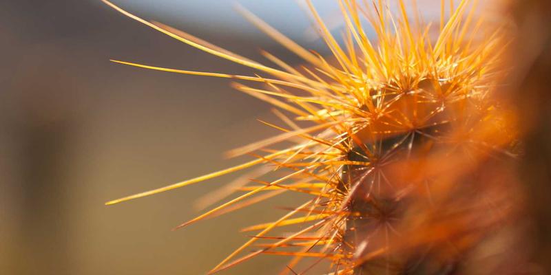 慢性胃炎怎么吃？这份养胃食谱与禁忌清单，助你重获健康生活