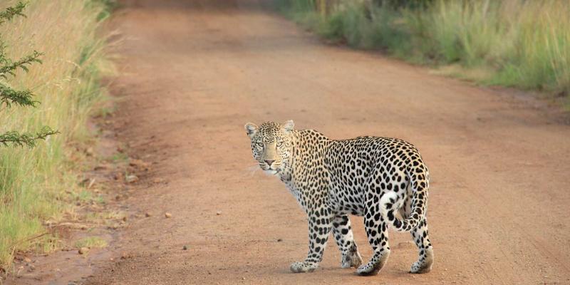 抗糖化饮食全攻略:科学抑制AGEs,守护胶原蛋白与血管青春