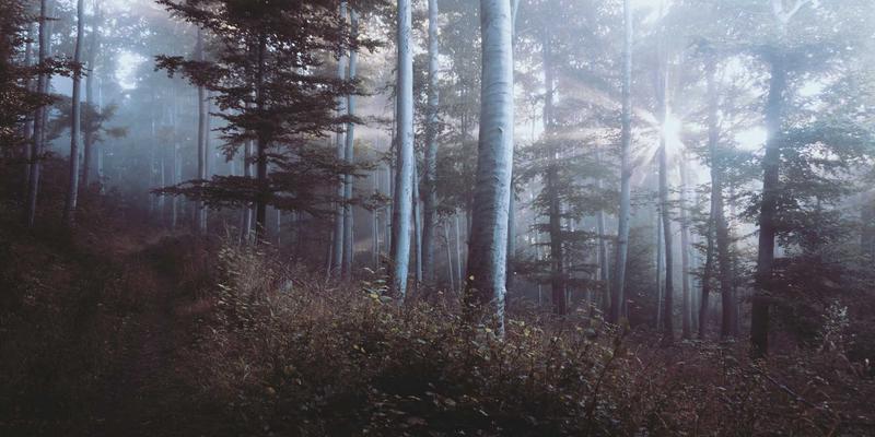 职场高压下的身心平衡术:一份给奋斗者的养生指南