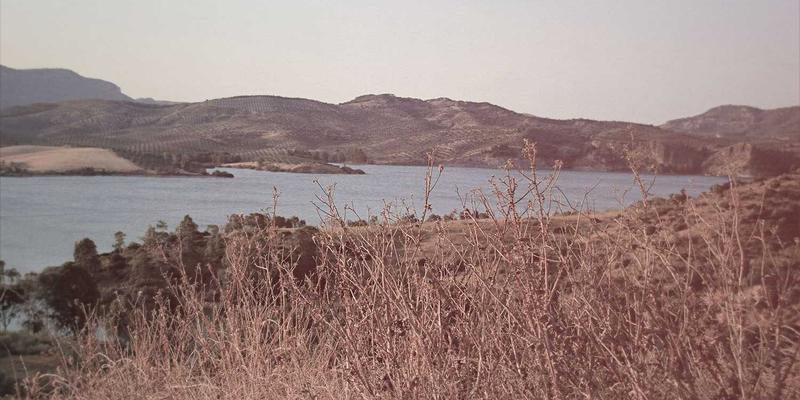 肠道菌群失衡的5个身体警报:从益生元到后生元的精准调理方案