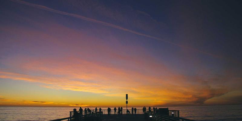 血管年轻的秘密:一氧化氮促进剂与内皮保护营养素全指南
