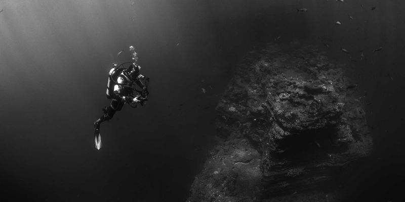 视力保卫战:解锁叶黄素、玉米黄质与花青素的协同护眼膳食方案