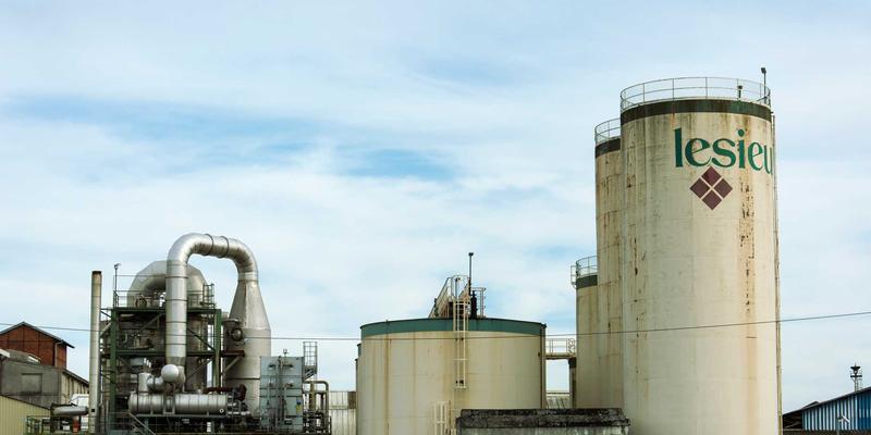 解锁细胞能量引擎:辅酶Q10、PQQ与B族维生素的协同养生指南