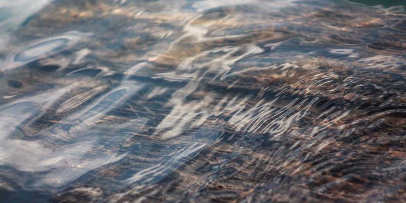 超越保健品:解锁彩虹饮食的协同力量,打造全谱系健康防护盾