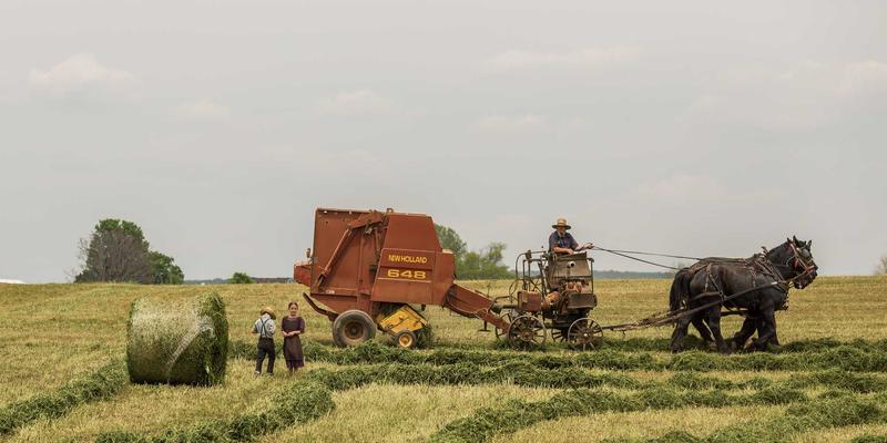 逆转生命时钟：科学揭示端粒保护与抗衰养生指南